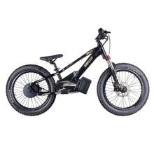 Load image into Gallery viewer, GoBike 20 Inch Electric Bike for Kids & Teens