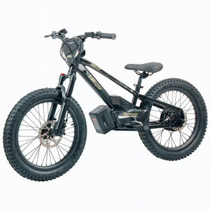 GoBike 20 Inch Electric Bike for Kids & Teens