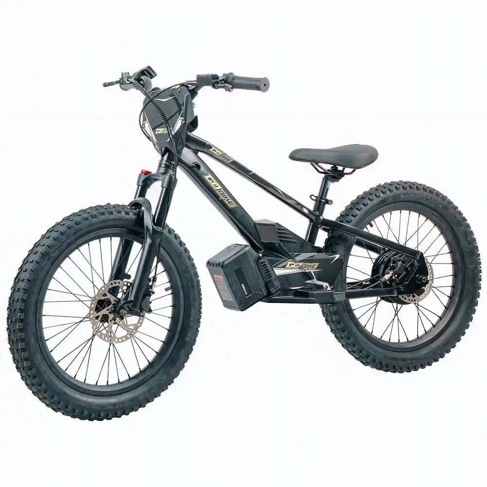 GoBike 20 Inch Electric Bike for Kids & Teens