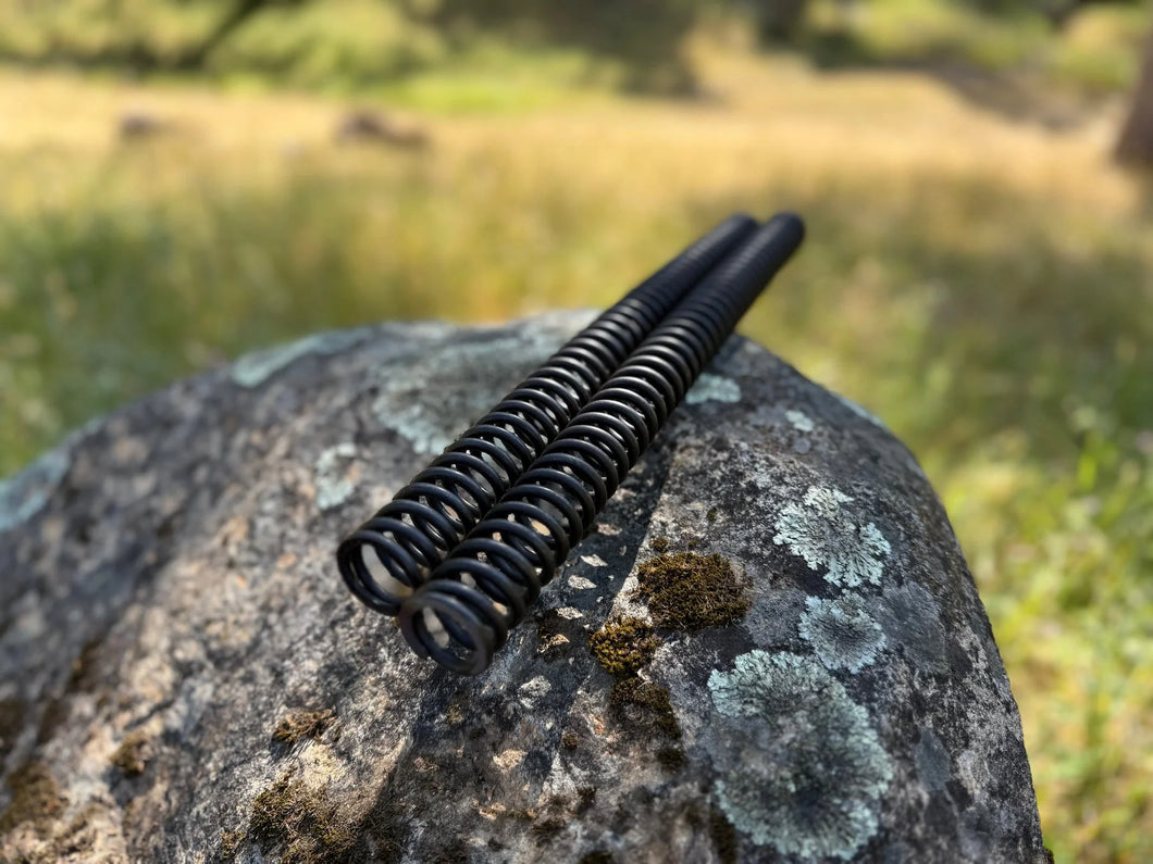 Etm Rtr Foot Peg Spring ETM RTR Sport Mod Fork Springs – MiniRacer.com.au